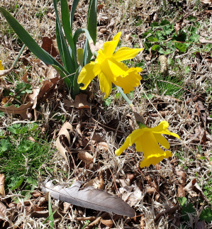 Spring greetings 2022